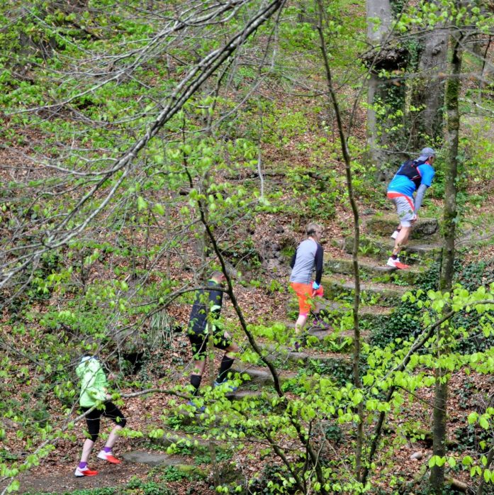 05-trailrunning-trier-22.04.17