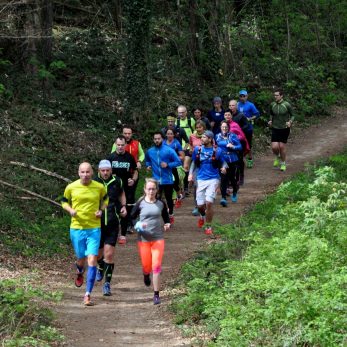 17-trailrunning-trier-22.04.17