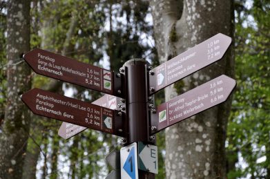 19-trailrunning-trier-22.04.17