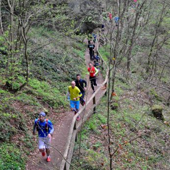 25-trailrunning-trier-22.04.17