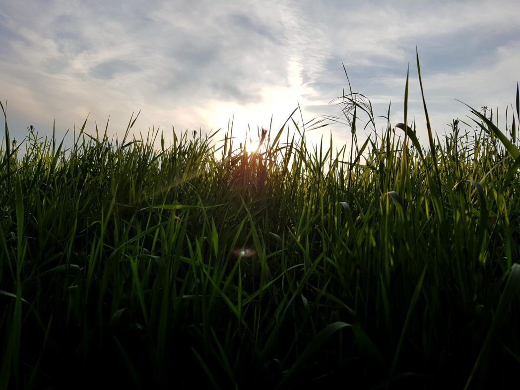 Brunnenpfad Hangard (1)