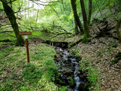 Brunnenpfad Hangard (12)