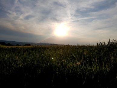 Brunnenpfad Hangard (14)