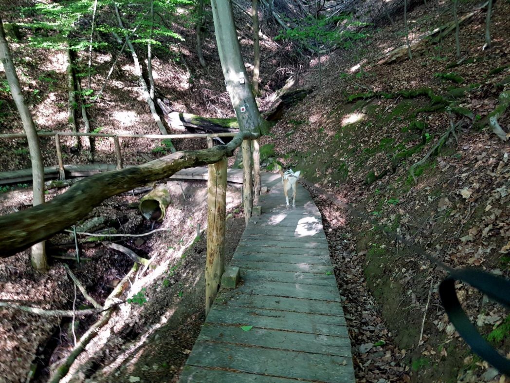 Brunnenpfad Hangard (5)