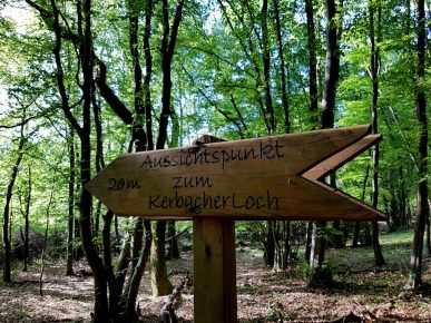 Brunnenpfad Hangard (7)