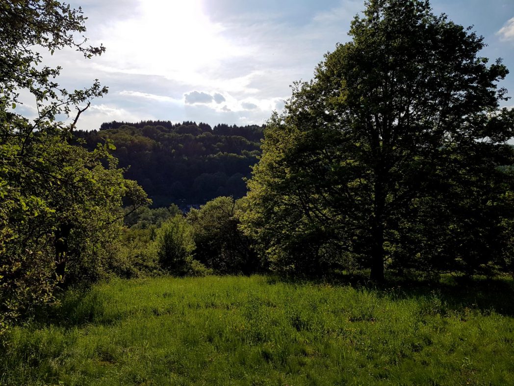 Brunnenpfad Hangard (8)