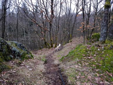 Bärenpfad (21)