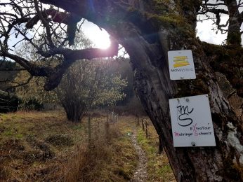 Extratour Mehringer Schweiz Rocite305 (1)