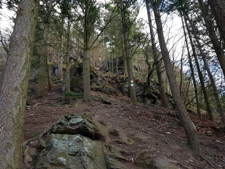 Extratour Mehringer Schweiz Rocite305 (13)