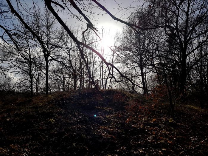 Extratour Mehringer Schweiz Rocite305 (25)