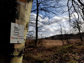 Extratour Mehringer Schweiz Rocite305 (26)