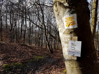 Extratour Mehringer Schweiz Rocite305 (29)