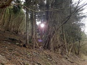 Extratour Mehringer Schweiz Rocite305 (3)