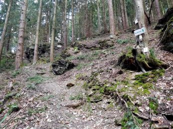 Extratour Mehringer Schweiz Rocite305 (4)