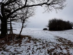 Galgenkopf-Tour.11