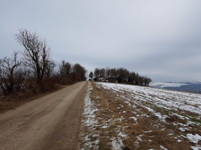 Galgenkopf-Tour.52