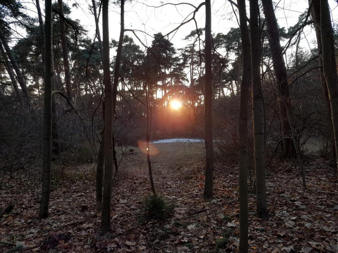 GonsenheimerWald.27