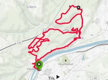 Heimatpfade 20,5k 630hm