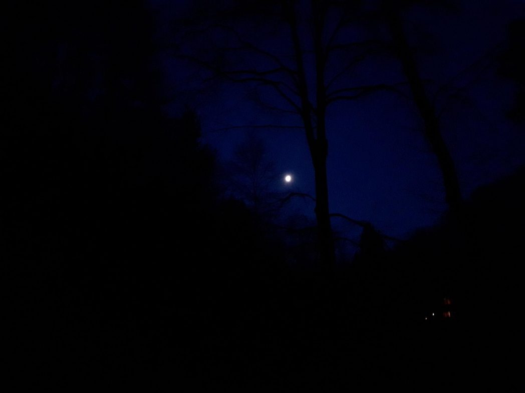 k1600_2016-02-27-06-44-39