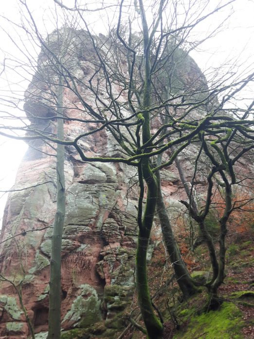 k1600_2016-03-05-12-40-45