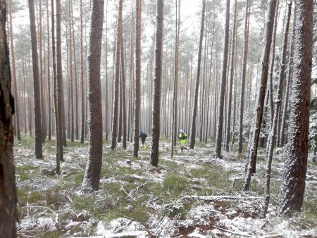 Pfalztrails