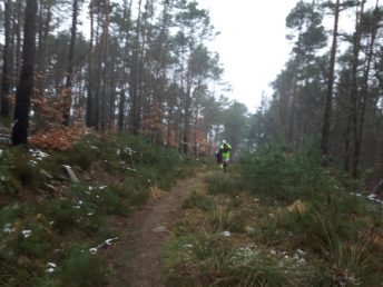 k1600_2016-03-06-11-51-07-2