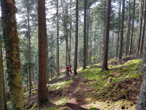 k1600_2016-03-20-12-12-34