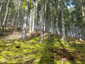 k1600_2016-03-20-12-12-44