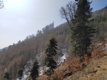 k1600_2016-03-20-12-18-46