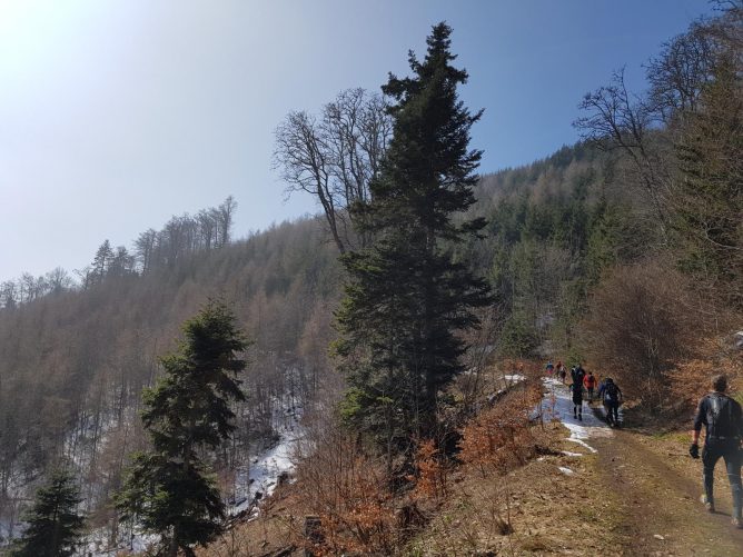 k1600_2016-03-20-12-18-50