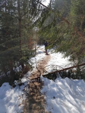 k1600_2016-03-20-12-19-45