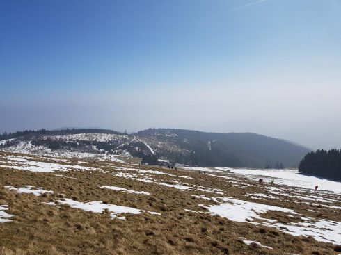 k1600_2016-03-20-12-39-49