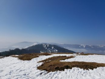 k1600_2016-03-20-12-45-39