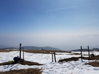 k1600_2016-03-20-12-45-41