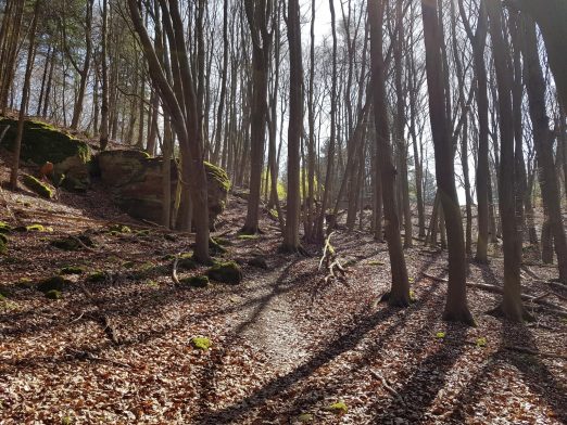 k1600_2016-04-10-12-42-20