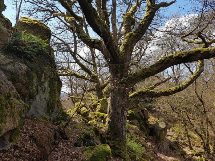 k1600_2016-04-10-13-20-07