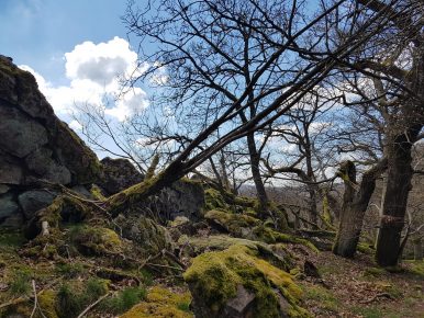 k1600_2016-04-10-13-20-43