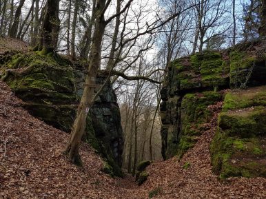 k1600_2016-04-10-14-17-00