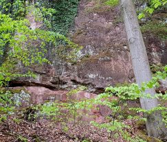 k1600_2016-04-24-10-42-33