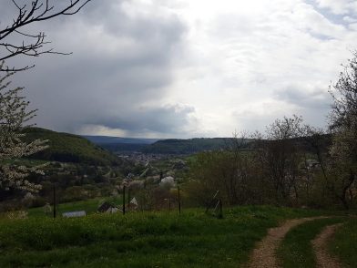 k1600_2016-04-24-11-35-45