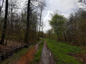 k1600_2016-04-24-11-56-32