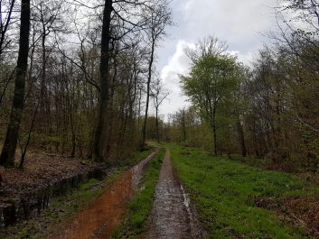 k1600_2016-04-24-11-56-32