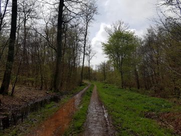 k1600_2016-04-24-11-56-32