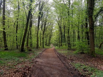 k1600_2016-04-24-14-34-29