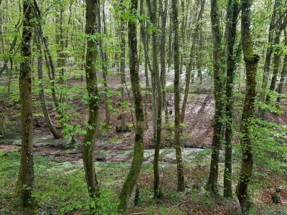 k1600_2016-04-24-14-39-15