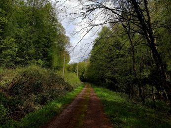 k1600_2016-04-24-14-39-19