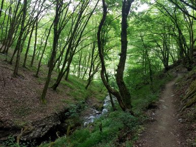 k1600_2016-05-22-16-43-23