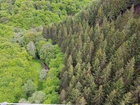 k1600_2016-05-22-16-59-59