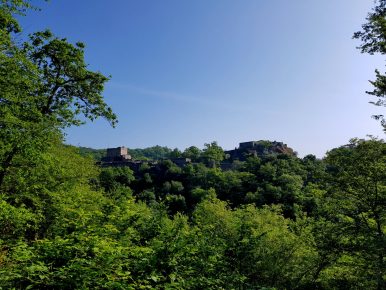 k1600_2016-05-26-09-11-56