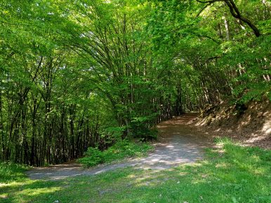 k1600_2016-05-26-09-12-04